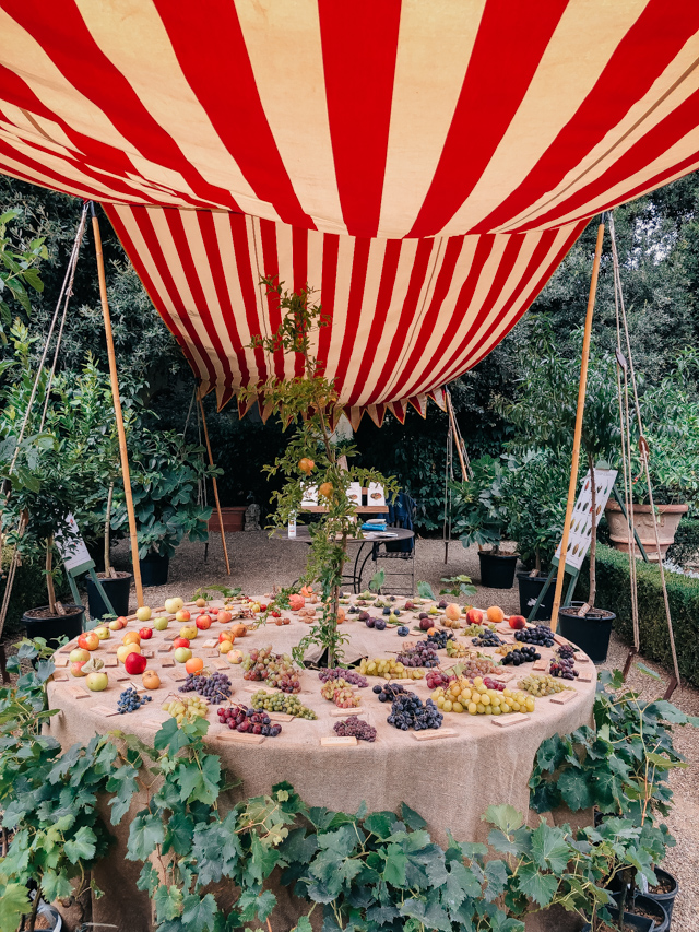 шатер с фруктами старинный сортов, которые выращивают в Тоскане на выставке во Флоренции